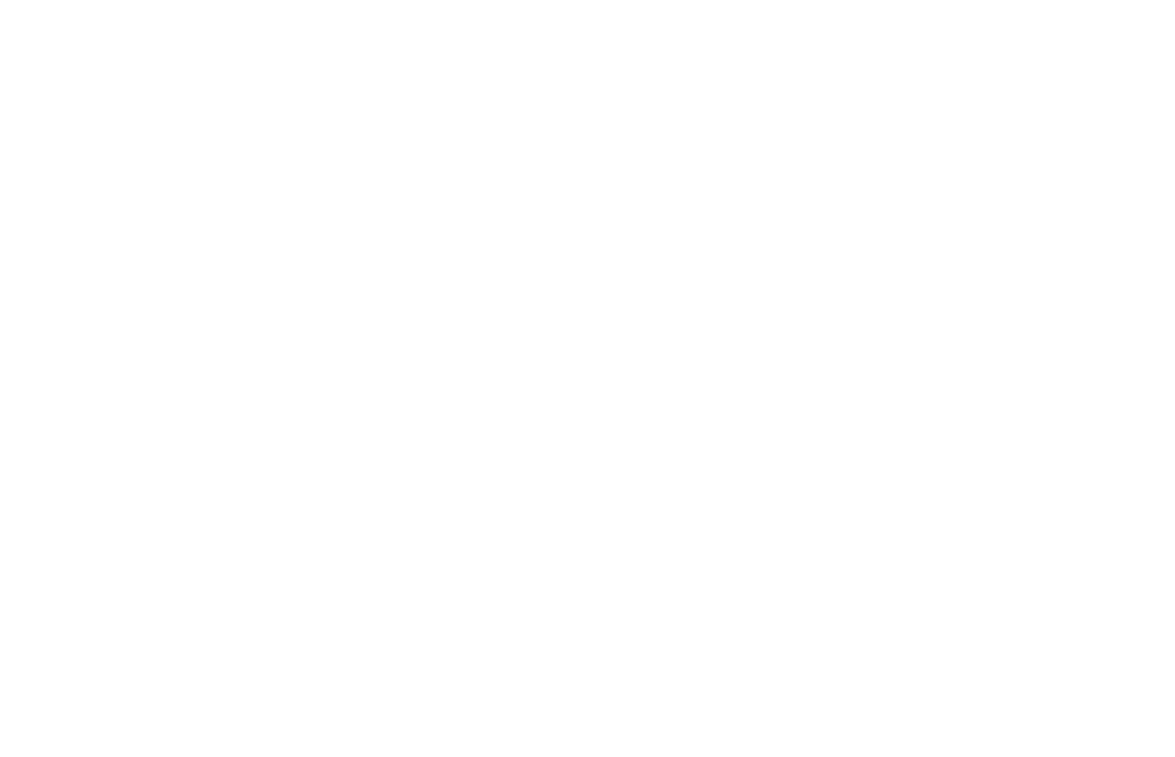 Aliya Logo